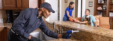 Best Real Estate Pest Inspections  in Croswell, MI